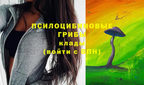 МДПВ Аркадак