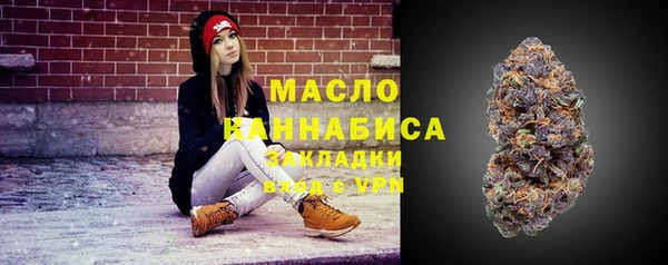 шишки Армянск