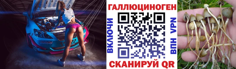 Псилоцибиновые грибы Cubensis  наркота  Сосновый Бор 